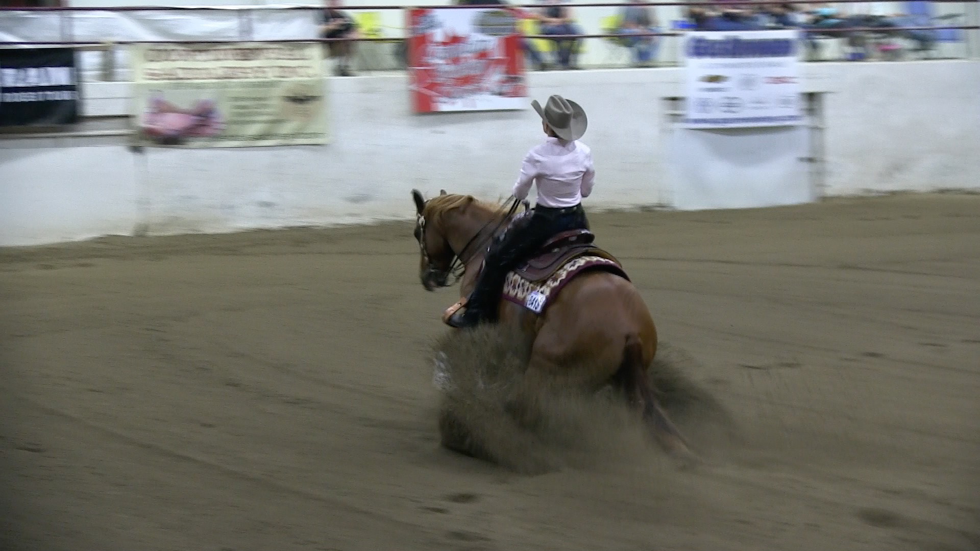 Jessie Dorland-Marchant riding Whizenboonsmal_OBBO_ORHA 30th Grand Finale Show_Class-Derby Non Pro5